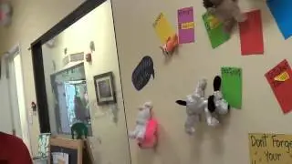 Escola Infantil nos Estados Unidos