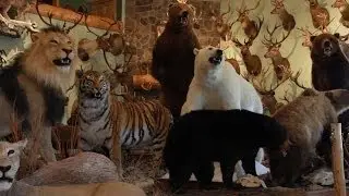 Preserve the Tradition Museum