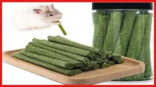 20PCS Natural Timothy Hay Sticks, Timothy Grass Molar Stick Chew Toys for Rabbits, Chinchillas