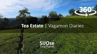 Tea Estate | Vagamon Diaries | 360 Video | @SIJOseTinyPlanet