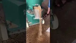Best quality poultry feed pellet maker