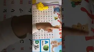 Learning toddler Eritrean language Tigrinya alphabets