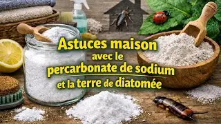 Astuces maison avec le percarbonate de soude et la terre de diatomée