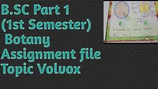 B.SC Part 1 (1st semester) Botany, Assignment file, Topic Volvox