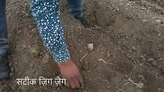Precision Potato Planter | Mahindra PlantingMaster Potato+ | Accurate Precision Zig Zig Planting