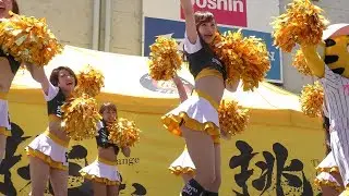 Tigers Girls　　　CHEER UP（TWICE）