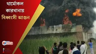Domjur Fire in Thermocol Factory : হাওড়ার ডোমজুড় থানার অন্তর্গত থার্মোকল কারখানায় বিধ্বংসী আগুন
