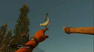 Stranded Deep Multiplayer Glitch
