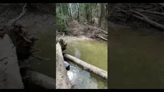 me an my friend going bare hand fishing