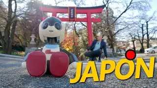 ENCONTRE UN ROBOT HUMANOIDE EN LA SEGUNDA DE JAPÓN : VIDEOJUEGOS CLASICOS