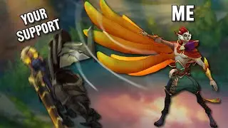 Biofrost - Support Gap
