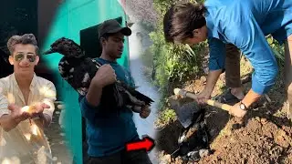 3 Kg Ki Duck Car Ka Niche Aakar Mar Gai😭🥹