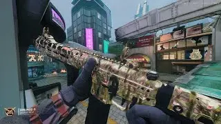 I got the Molten Gold camo in bo7