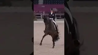 Who remembers Jessica von Bredow-Werndl & TSF Dalera BB at Tokyo 2020?  🇩🇪🐴  | #olympics