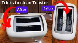 How To Clean Your Dirty Toaster | Deep Cleaning Toaster With Tips