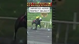 PERFECT DELIGHT - JOCKEY MA ALVAREZ #horse #horseriding #metroturf #horseracing  #perfectdelight