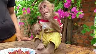 Copy of Monkey Icy enjoys eating yummy grapes with Mummy.