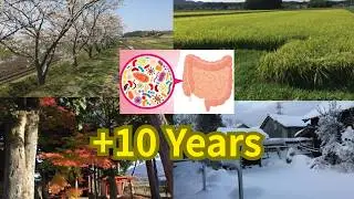 Почему японцы питаются сезонно и живут на 10 лет дольше