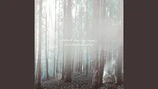 To Everness