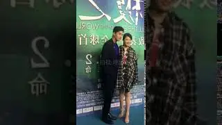 赵又廷 Zhao Youting