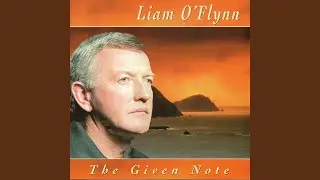 The Green Island, Spellan The Fiddler