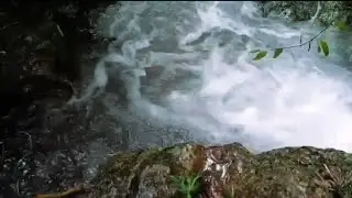 Very Relaxing Natural Sounds Of Running Water | River Running Water Sounds 