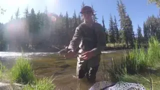 Pt. One ~ Fly Fishing the Taylor River at Harmel's Ranch in Almont, CO