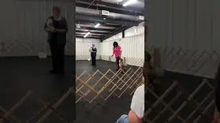 Obedience queen