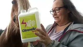 Update on blazes sweet itch control routine