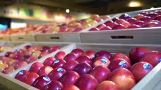 Simpli Namdharis opening at Garuda Vaccinated Mall | Farm-Fresh & Vegetarian | Magrath Road