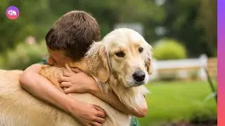Best Dog Breeds for emotional support in the USA!