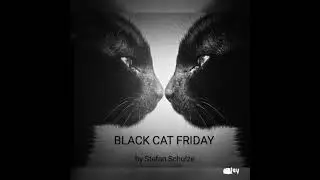 BLACK CAT FRIDAY by Soulsalty in ear music 🎧