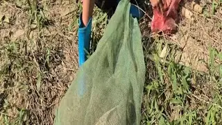 Survival in Deep Forest 🌿 Making Ancient Fish Traps & Catching Fish to Sell