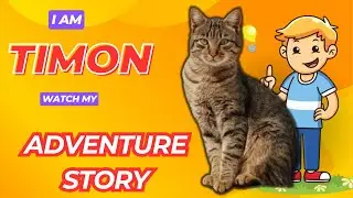 Story of Cat Timon - Whisker Twitching Secrets Revealed