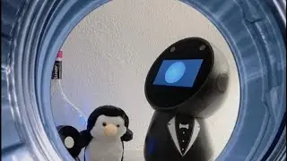 Bedtime story with Jibo, BJ2, the magic lamp and Ponny the penguin