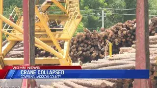 Crane collapses at lumber mill