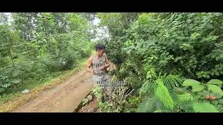 Traditional Plant Care: Young Farmer Using Manual Shears to Tend to Crops in the Countryside
