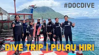 DiveTrip | Pulau Hiri