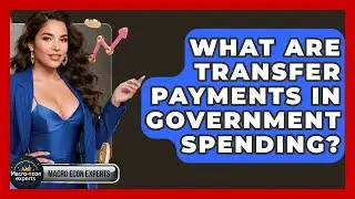 What Are Transfer Payments In Government Spending? - Macroecon Experts