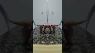 floating hand spider's moment 😂🤣🤣