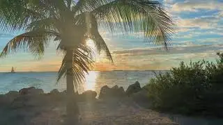 Relaxing music Beautiful sandy beach soothing sounds and healing POSITIVE VIBES - Release the stress
