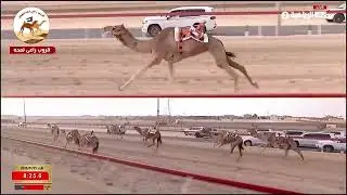 الشوط 5 نوعية لـ منصور سيف علي دري المنصوري  12:54:06( تمهيدي الوثبة 2026 )