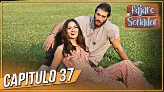 P&aacute;jaro so&ntilde;ador - Capitulo 37 (Audio Espa&ntilde;ol - Larga Capitulo) | Erkenci Kuş