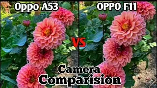 Oppo A53 vs Oppo F11 - Full Camera Comparison | Oppo A53 Camera Test