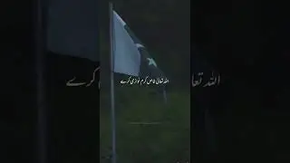 Happy independence day #Zun-Noorain