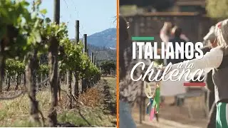 Historia de Casas del Bosque | Italianos a la Chilena