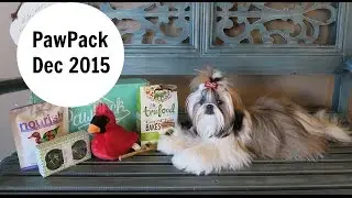 PAWPACK DECEMBER UNBOXING- DOG SUBSCRIPTION BOX