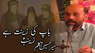 Baap Ki Zeenat Zainab s.a  | Wiladat Bibi Zainab (S.A) | Mir Takallum Mir