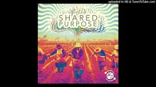 Khaoscope - Cats are Aliens