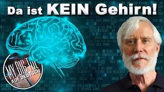 Existiert unser Gehirn &uuml;berhaupt? Die Illusion einer physischen Welt  I  Tom Campbell